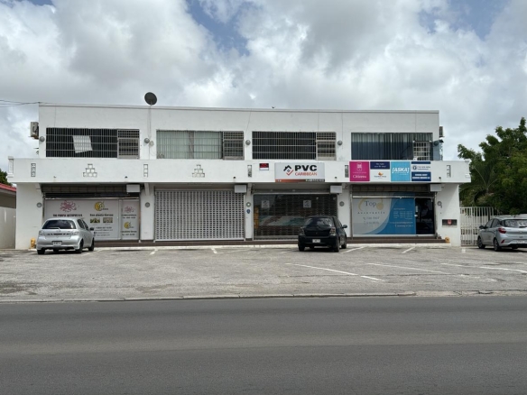 Commercial Building