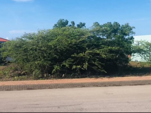 Owner’s Property – Harmonia